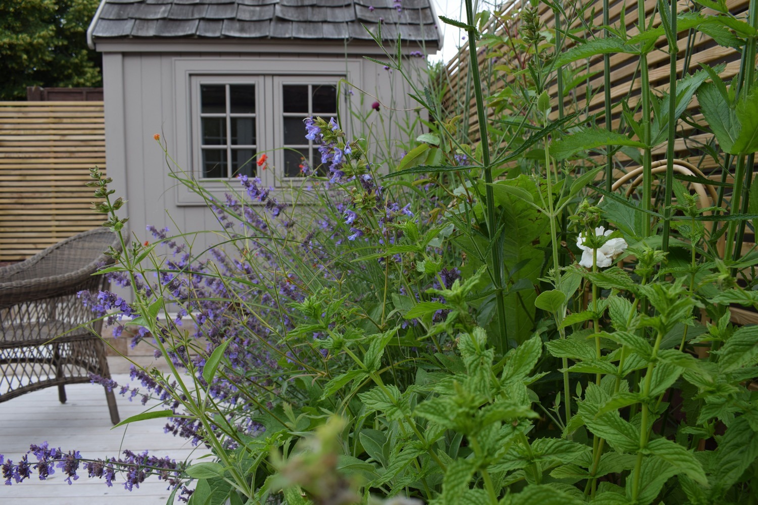 Everchanging Garden Design Hertfordshire courtyard project pic 10