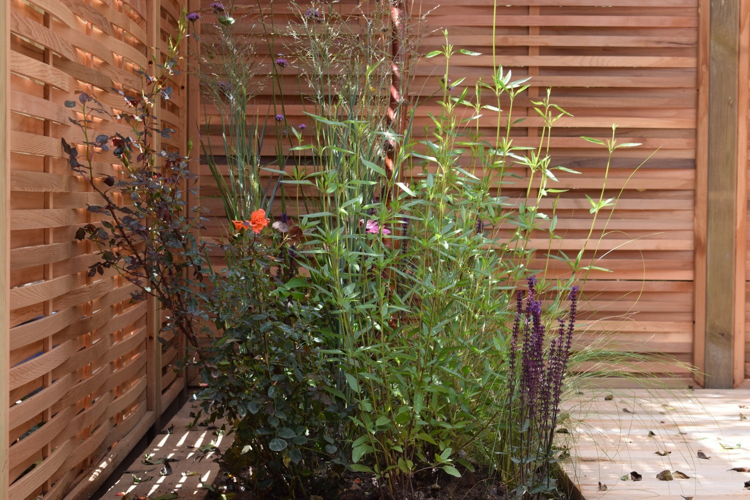 Everchanging Garden Design Hertfordshire courtyard project pic 4