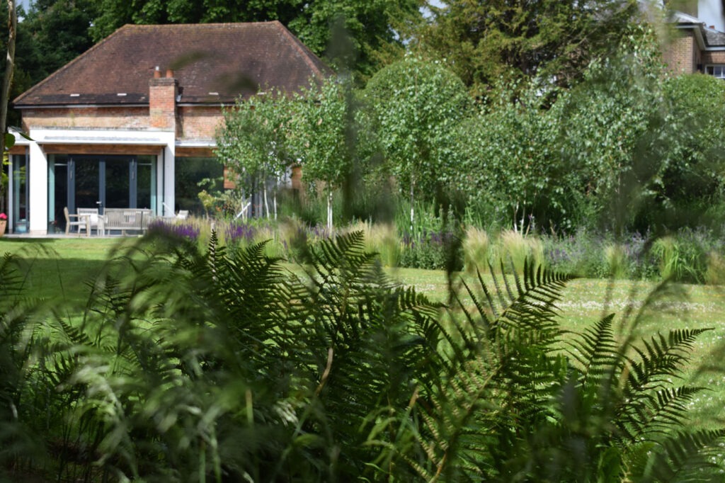 Everchanging Garden Design Hertfordshire Hadley Wood London 11