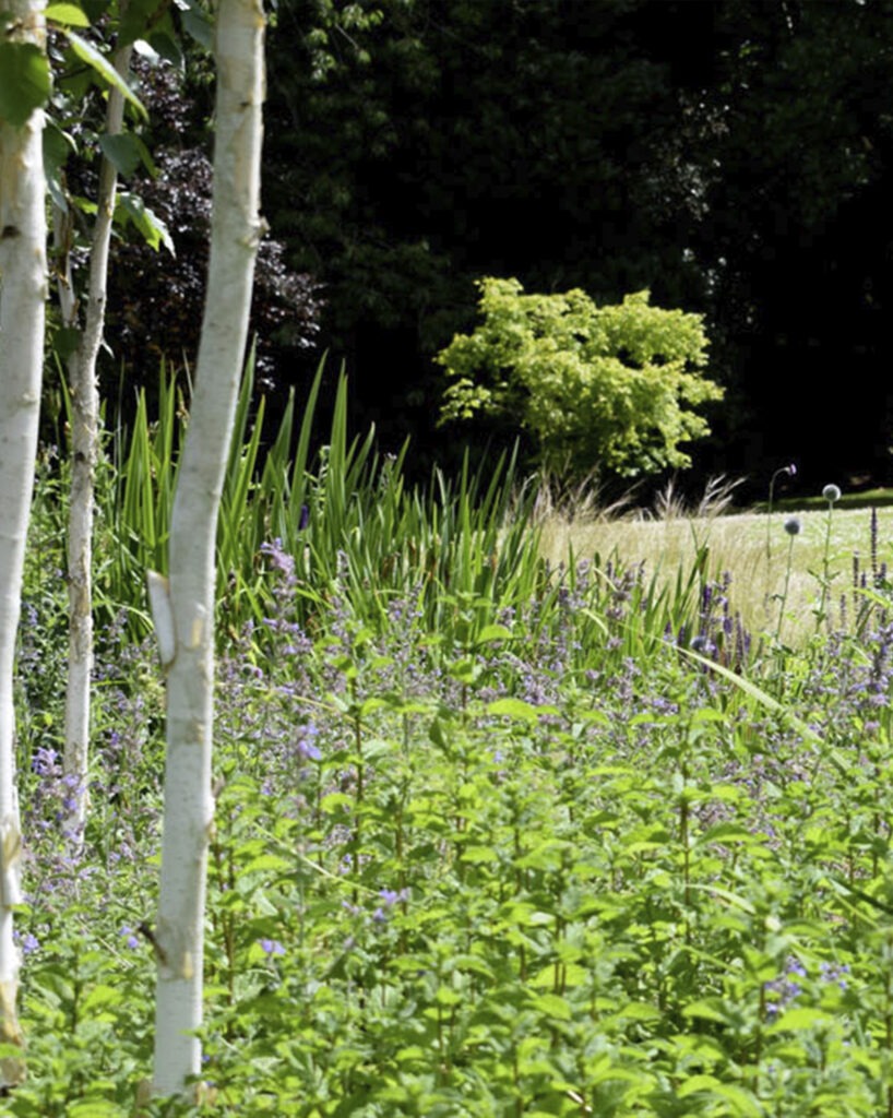 Everchanging Garden Design Hertfordshire Hadley Wood London 13