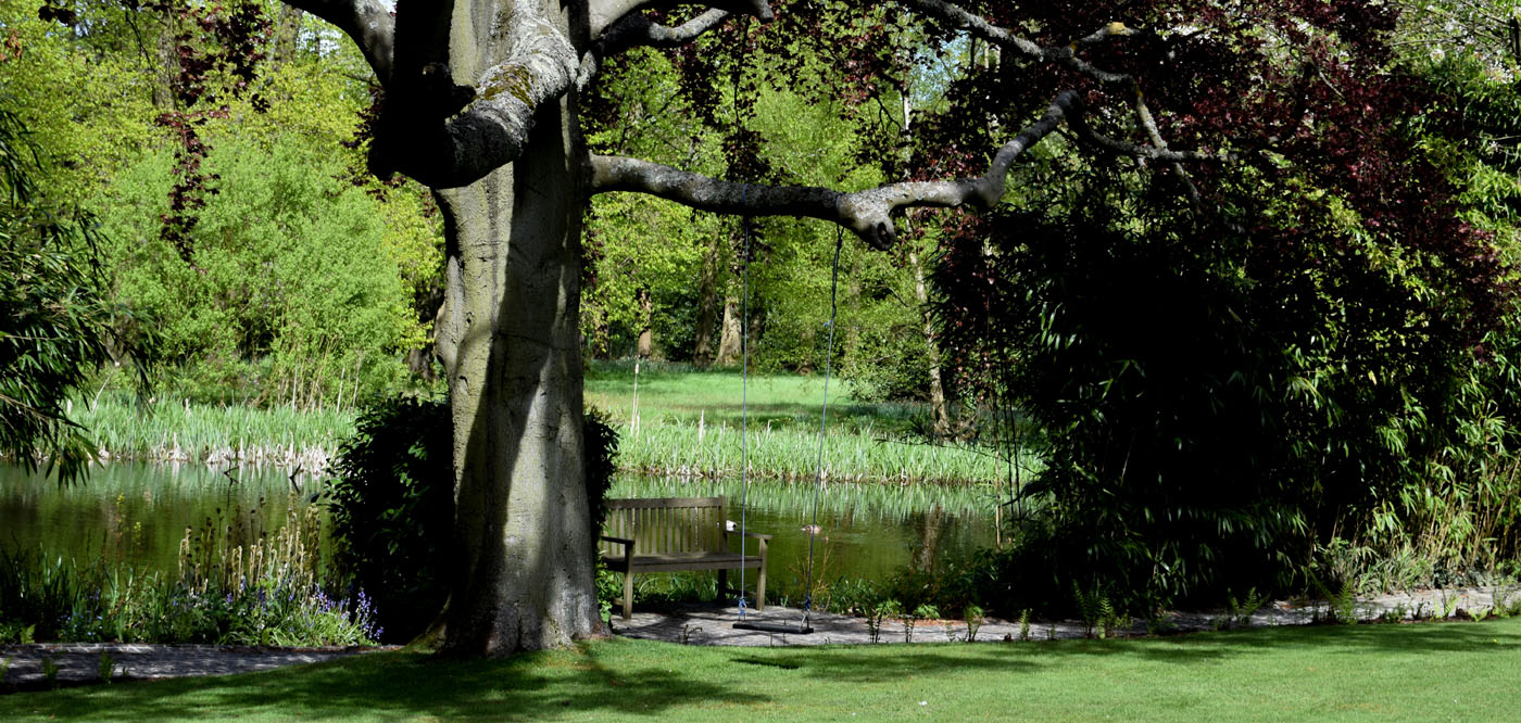 Everchanging Garden Design Hertfordshire Hadley Wood project 22