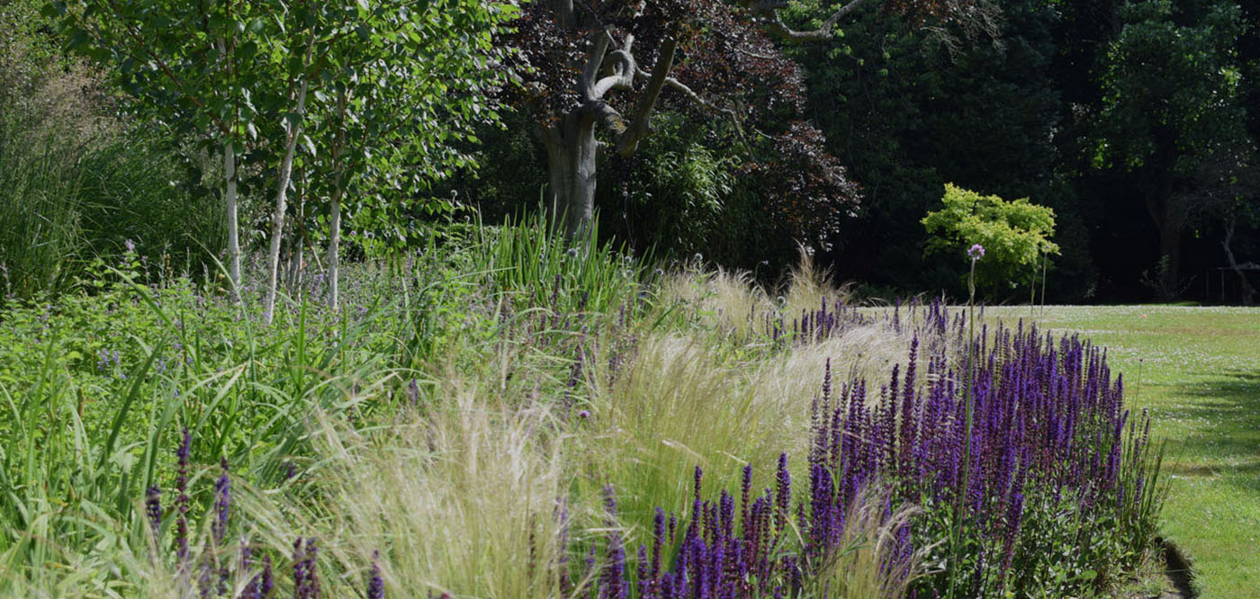 Everchanging Garden Design Hertfordshire Wild