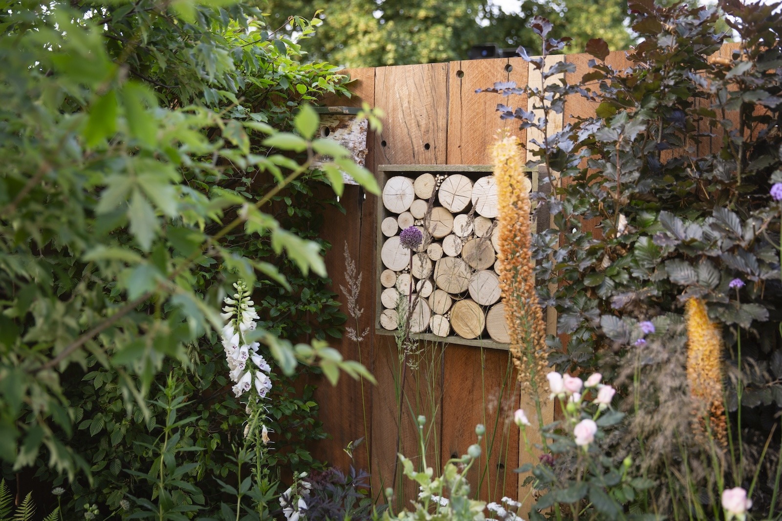 Everchanging Garden Design Hertfordshire insect hotel main