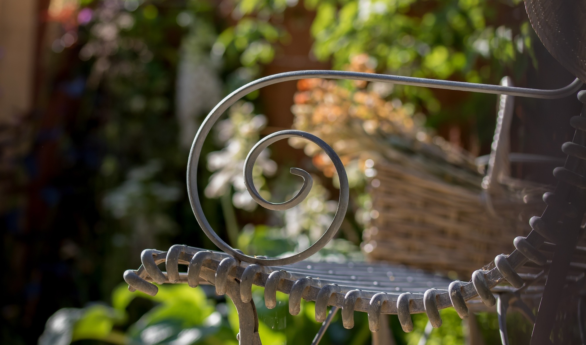 Everchanging Garden Design Hertfordshire RHS Four season sanctuary arras bench