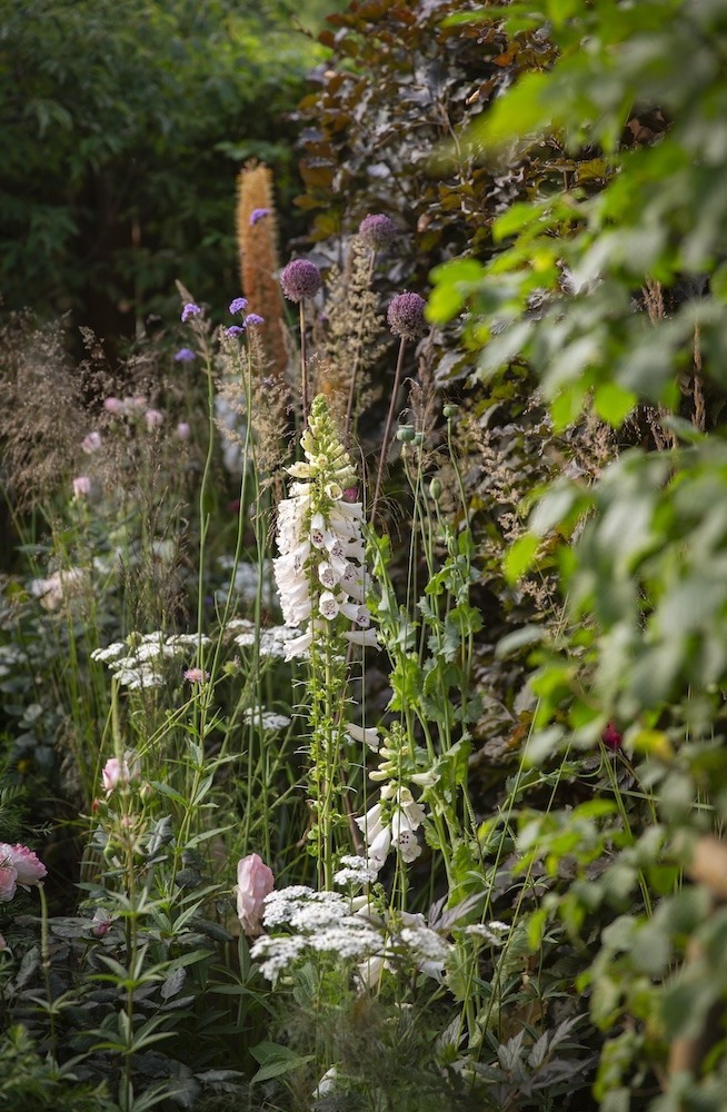 Everchanging Garden Design Hertfordshire RHS show garden naturalistic planting