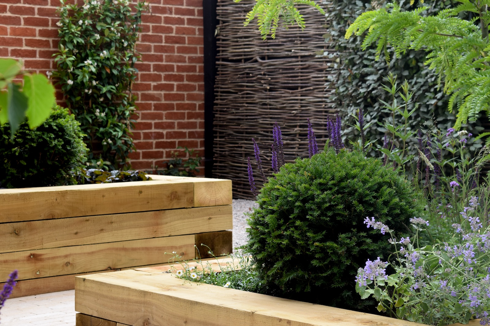 everchanging-garden-design-hertfordshire-a-courtyard-haven-for-wildlife-main