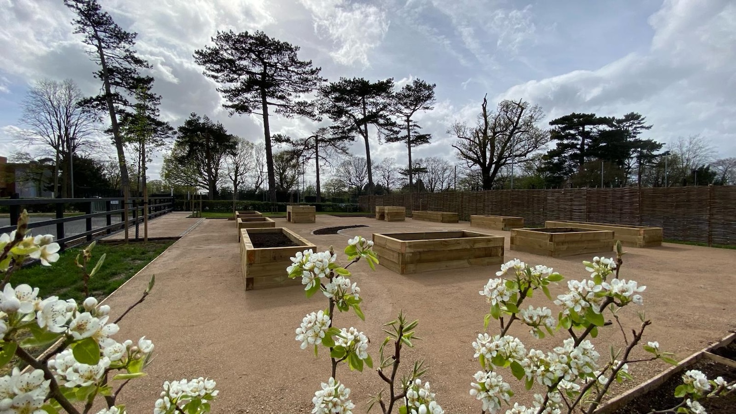 everchanging garden design hertfordshire london food garden main